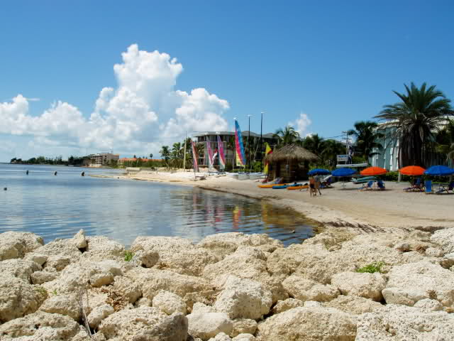 View of Condo from Smathers Beach